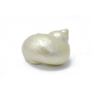 HAQUOSS REEF SHELL 1 - 15x12x8,5h cm